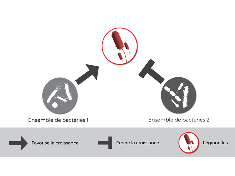 Graphique 1 Légionelles
